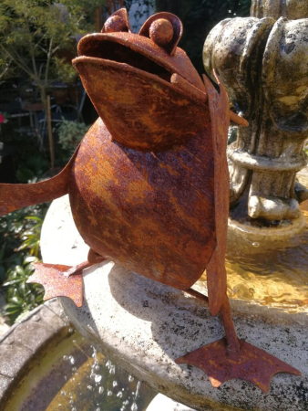 Edelrost Gentleman-Frosch