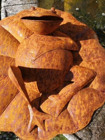 Edelrost Frosch auf Seerosenblatt