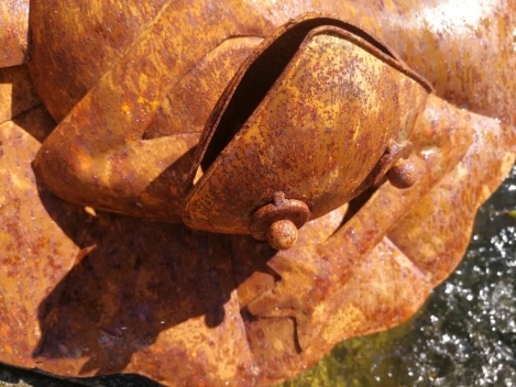 Edelrost Frosch auf Seerosenblatt