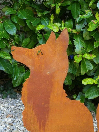 Edelrost Fuchs Hector, sitzend