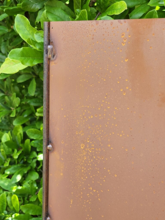 Preview: Edelrost Gartenschild Pusteblume