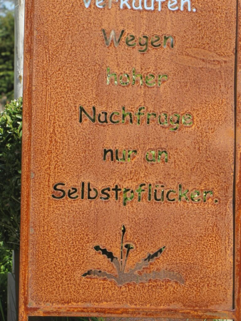 Edelrost Gartenschild Unkraut zu Verkaufen