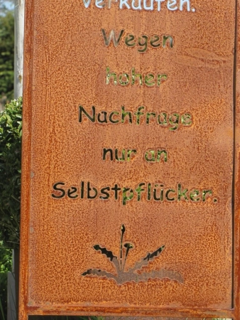 Edelrost Gartenschild Unkraut zu Verkaufen