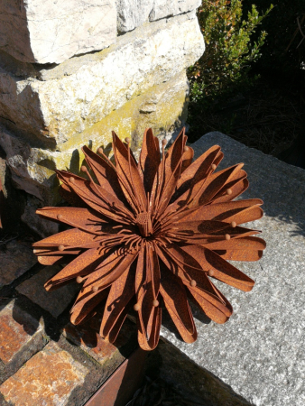 Preview: Edelrost Blume Aster