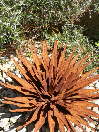 Edelrost Distel