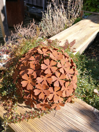 Edelrost Hortensie