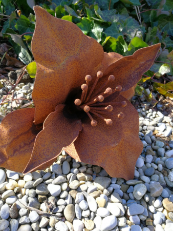 Edelrost Blume Imael
