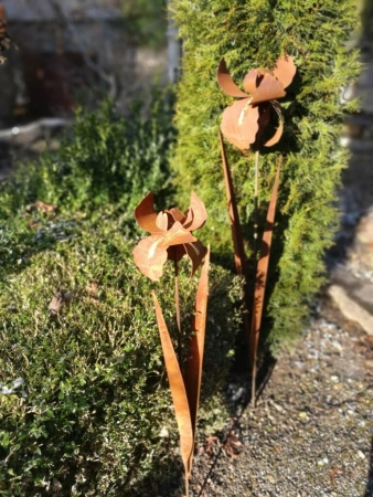 Edelrost Blume Iris (Schwertlilie) mit Gold