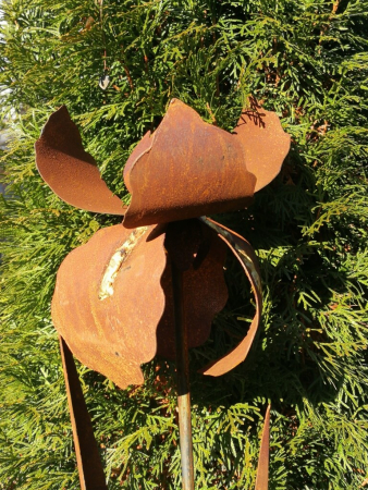 Preview: Edelrost Blume Iris (Schwertlilie) mit Gold