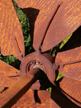 Edelrost Windrad Löffelblüte