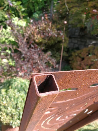 Edelrost Gartenstele Doppelranke Sunny