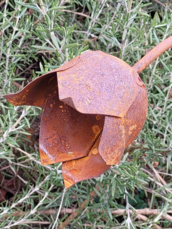 Preview: Edelrost Glockenblume zum Stecken