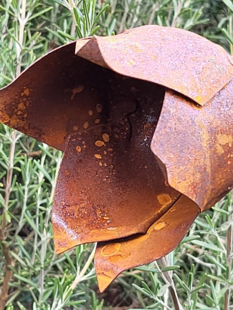 Preview: Edelrost Glockenblume zum Stecken