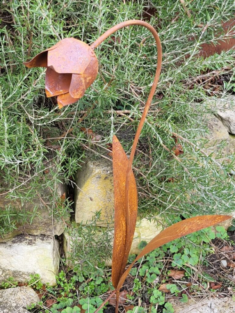 Preview: Edelrost Glockenblume zum Stecken