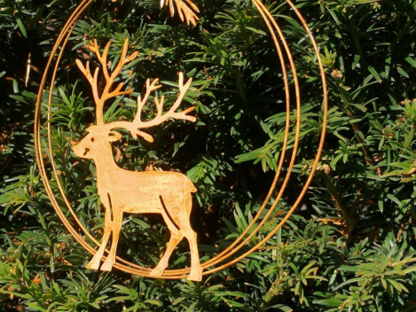 Preview: Dekohänger Hirsch Dietmar im Ring, Kopf gerade