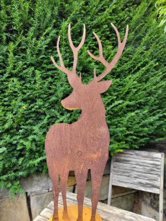 Edelrost Hirsch Edgar, seitlich