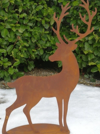 Edelrost Hirsch Leon