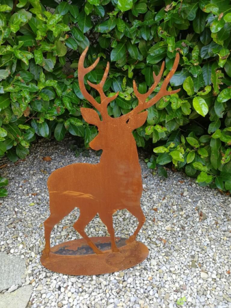 Edelrost Hirsch Smörre von vorne