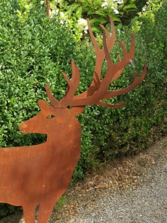 Edelrost Hirsch mit Doppelgeweih