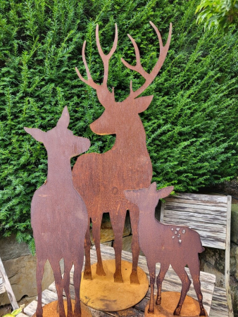 Edelrost Hirsch Edgar, seitlich