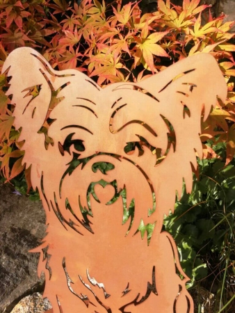 Edelrost Hund Bello