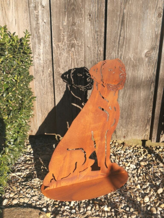 Edelrost Hund Hasso, Boxer