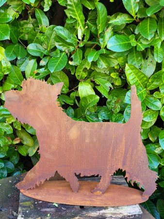 Edelrost Hund Westie, Berti