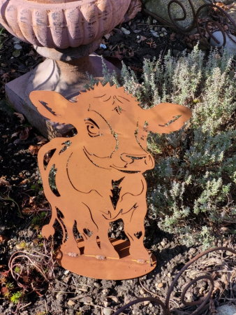 Edelrost Kalb Fiona, auf Platte