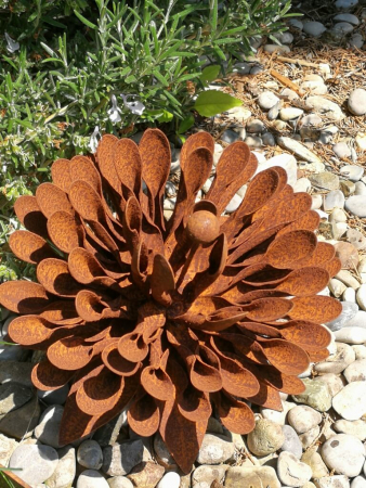 Edelrost Kaktusdahlie, klein