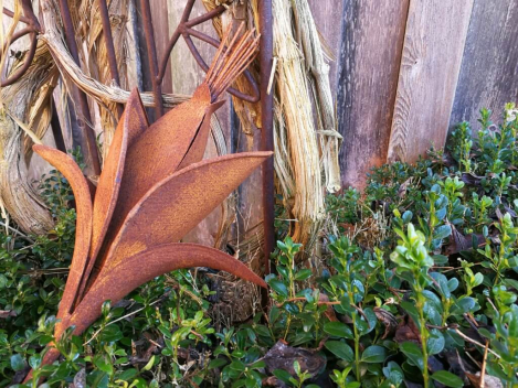 Preview: Edelrost Knospe Rachel