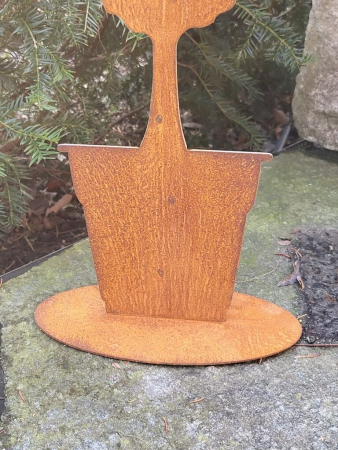 Preview: Edelrost Zypresse im Topf