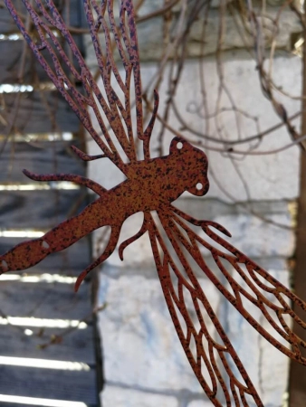 Edelrost Libelle zum Hängen, geäderte Flügel