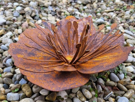 Edelrost Mohnblüte