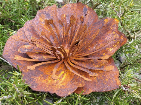 Preview: Edelrost Mohnblüte