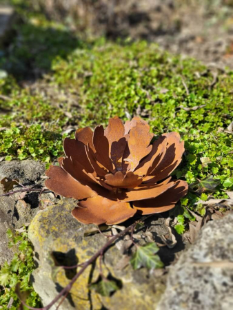 Edelrost filigrane Pfingstrose