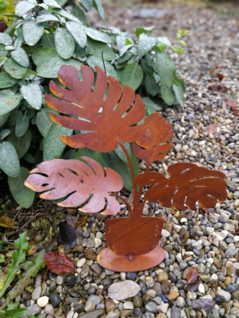 Edelrost Philodendron auf Platte