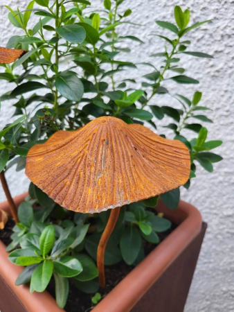 Edelrost 3D Pilz zum Stecken
