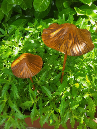 Preview: Edelrost 3D Pilz zum Stecken
