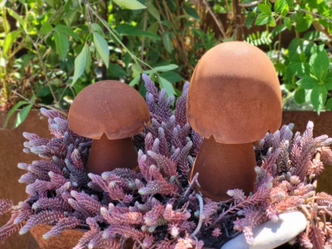 Edelrost 3D Pilz Egon zum Stellen