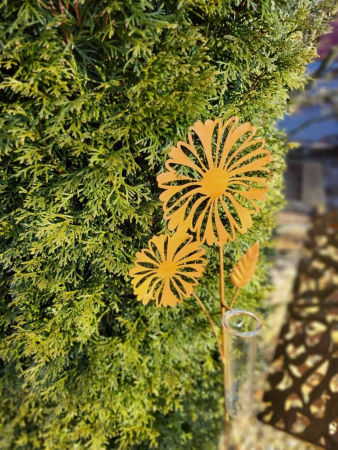 Edelrost Regenmesser Doppelblüte