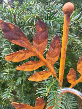 Edelrost Regenmesser Farn