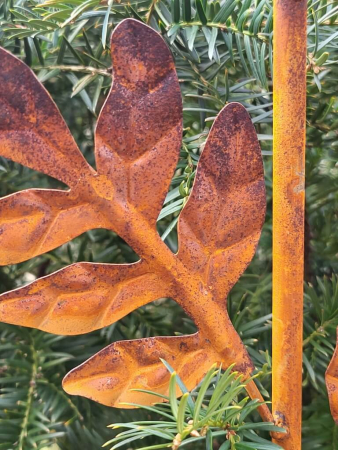 Edelrost Regenmesser Farn