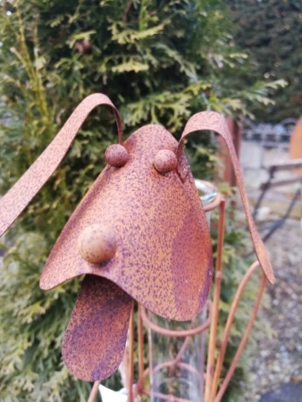 Edelrost Regenmesser Hund Hasso
