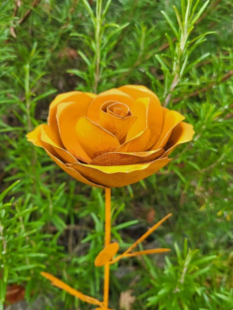 Preview: Edelrost Topfstecker Rose Fairy