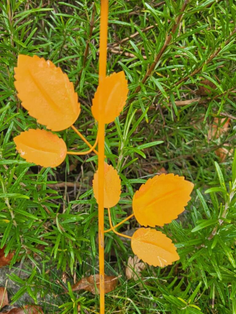 Preview: Edelrost Topfstecker Rose Fairy