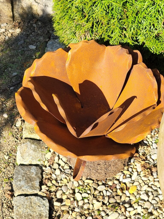 Edelrost Pflanzschale Rose, groß