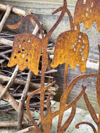 Preview: Edelrost Schachbrettblume im Topf, niedrig