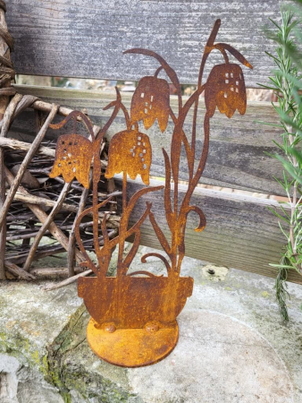 Preview: Edelrost Schachbrettblume im Topf, niedrig