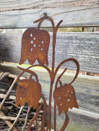 Preview: Edelrost Schachbrettblume im Topf, hoch