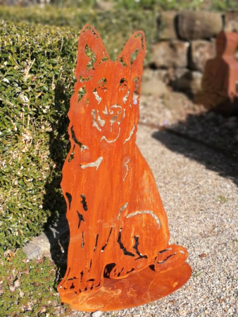 Edelrost Schäferhund